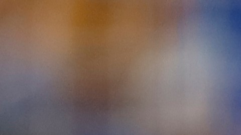 Miguel Herrera fue despedido de Tigres.