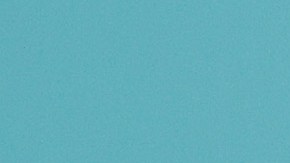 Natti Natasha, cantante dominicana de género urbano, en la NASCAR Cup Series Dixie Vodka 400 en Homestead-Miami Speedway de Florida.