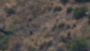 Niño de California de 12 años llamó al 911 para acusar que su padre conducía ebrio y se lo llevaba sin permiso