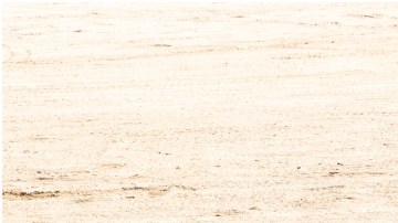 Nissan dará a conocer una gama de nuevos accesorios NISMO dirigidos a los modelos Z y Frontier