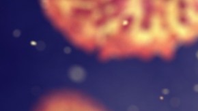 La OMS identifica los patógenos que podrían causar futuras pandemias