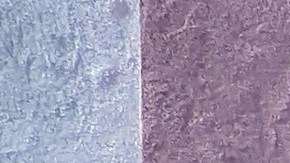 Sandra Sandoval frente a su negocio con fachada nueva. (Jacqueline García/La Opinión)