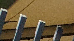 Grupo a favor de que el INE permanezca intacto. (Jacqueline García/La Opinión)