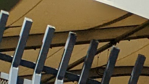 Grupo a favor de que el INE permanezca intacto. (Jacqueline García/La Opinión)