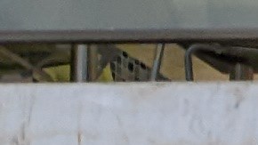 El 23 de noviembre del 2022 hizo el juramento para obtener la ciudadanía estadounidense. (Jacqueline García/La Opinión)