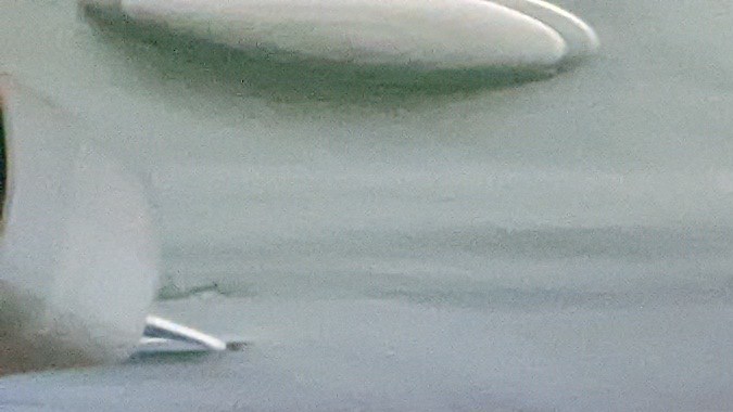 Fanáticos de Irán llegaron a apoyar a su equipo. (Jacqueline García/La Opinión)