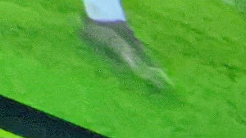 Fanáticos celebraron el triunfo de Estados Unidos. (Jacqueline García/La Opinión)