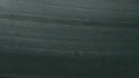 Fanáticos celebraron en Santa Fe Springs. (Jacqueline García/La Opinión)