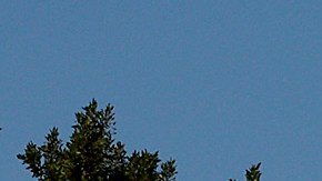 "Esperamos que ardas en el infierno": mensaje de los familiares al autor de la masacre en Parkland, Florida