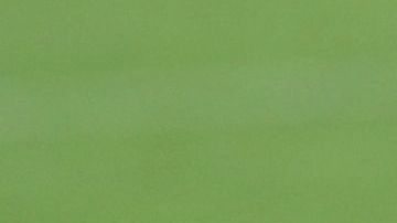 Paul Pogba se perderá el Mundial Qatar 2022 por lesión.