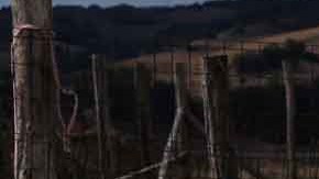 Un menor de edad dormía en una perrera soportando temperaturas bajo cero