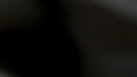 Pitón ataca a un niño de 5 años y lo arrastra hacia una piscina