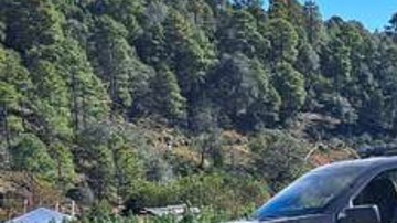 Plantío de marihuana