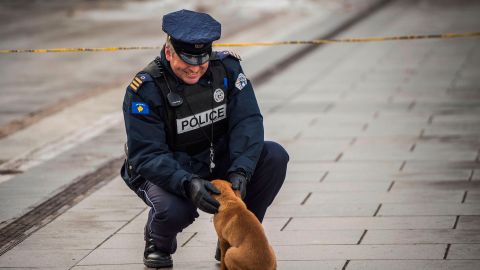 Policías rescatan a perrito de morir ahorcado tras caer de una azotea
