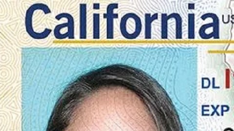 En California, la REAL ID se reconoce por el oso dorado con una estrella en la parte superior derecha de la identificación.