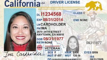 En California, la REAL ID se reconoce por el oso dorado con una estrella en la parte superior derecha de la identificación.