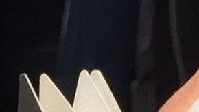 “Quiero una visa de trabajo temporal y no sé qué hacer”