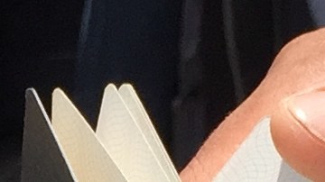 “Quiero una visa de trabajo temporal y no sé qué hacer”