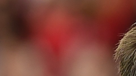Sergio Ramos y Gerard Piqué celebrando un gol con la Selección Española.