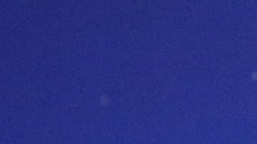 Shakira y Gerard Piqué junto a sus hijos Milan y Sasha en el Mundial de Globos 2021.