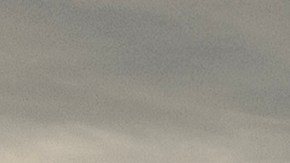 Sospechoso de masacre en club nocturno LGBT se define como no binario y su padre era un exconvicto luchador de MMA convertido en estrella porno