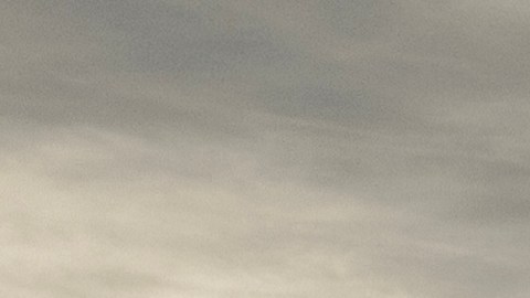 Sospechoso de masacre en club nocturno LGBT se define como no binario y su padre era un exconvicto luchador de MMA convertido en estrella porno