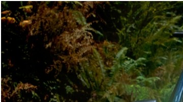 Una de las novedades que trae el Subaru Forester 2023 es la incorporación de la última versión del  estándar EyeSight Driver Assist Technology