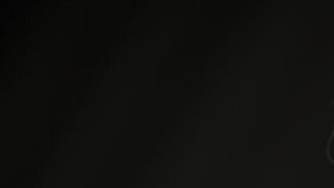 Tim Ryan se ha opuesto a que Joe Biden se reelija