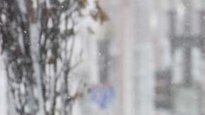 Varios emprendedores están listos para buscar el dinero que implica la llegada de la nieve