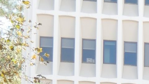 Este viernes cumple 5 días la huelga en la Universidad de California.  (Cortesía UAW 2865)