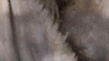 Una vecina atestiguó como Austin Edwards se llevó a una niña de 15 años después del triple asesinato en Riverside, momentos antes de que la casa estallara en llamas