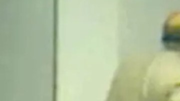 VIDEO: Imágenes muestran el arresto del heredero de Tyson Foods, borracho y dormido en la cama de una casa equivocada