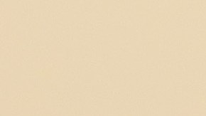 VIDEO Pareja iracunda obliga a todos los pasajeros a bajarse de un vuelo de Frontier Airlines luego de subirse a la cabina por la fuerza