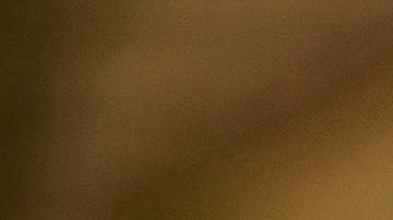 Video muestra a un fan arrojado sobre una barandilla durante una pelea en el SoFi Stadium