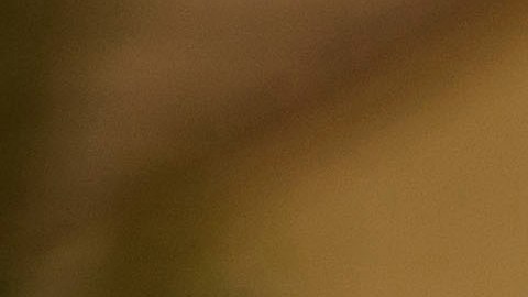Video muestra a un fan arrojado sobre una barandilla durante una pelea en el SoFi Stadium