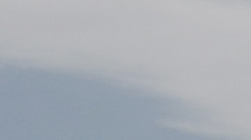 Video muestra el momento en que la Guardia Costera rescata a un hombre que cayó de un crucero y sobrevivió flotando durante 15 horas