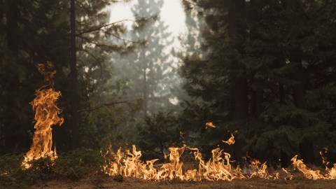 Vientos de Santa Ana traen peligro de incendio y cortes de energía al sur de California en el Día de Acción de Gracias