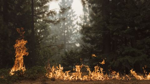 Vientos de Santa Ana traen peligro de incendio y cortes de energía al sur de California en el Día de Acción de Gracias