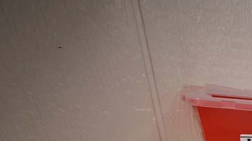 La viruela del mono es extremadamente contagiosa si no se tienen ciertos cuidados