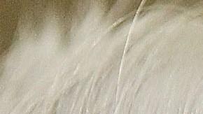 Viuda del policía hispano asesinado presenta un reclamo de $25 millones de dólares contra el fiscal Gascón