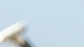 Yailin La Más Viral y Anuel AA en Ibiza.