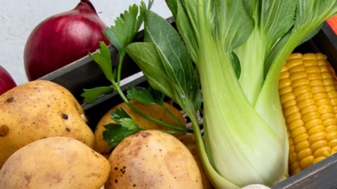 Cinco alimentos que debes tener en casa si te enfermas