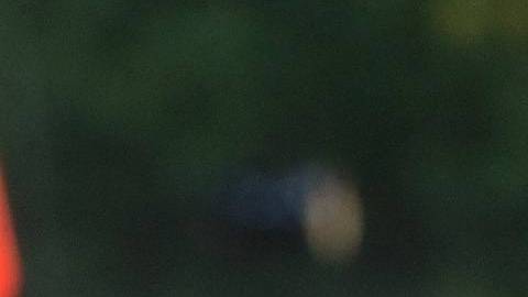 Su padre la acosa desde la cárcel con cartas