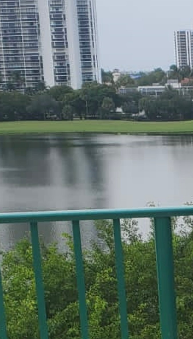 Astrid Dayana Torre Alba Falcón, novia de Chyno Miranda