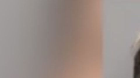 El sospechoso Joseph Halm Arcidiacono.