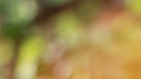 Los tres síntomas que pueden aparecer un mes antes de un ataque cardíaco