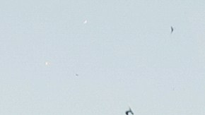 Activistas convierten a Ken Salazar en piñata y la queman en protesta por reformas migratorias