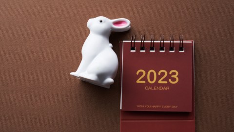 Año del Conejo
