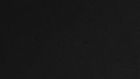 La seguridad de tomar decisiones en los signos