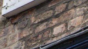 Imagen de una marquesina de color azul oscuro y las letras de la marca Disney en dorado.